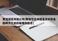 黄凌波区块链公司[黄锫坚区块链是技术和金融两大行业的碰撞和融合]